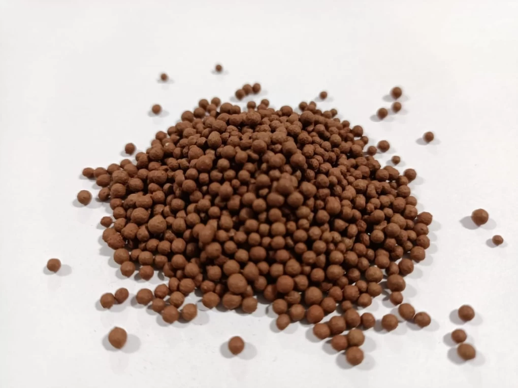 20230929161014-full-1695984011863brown-granules.webp